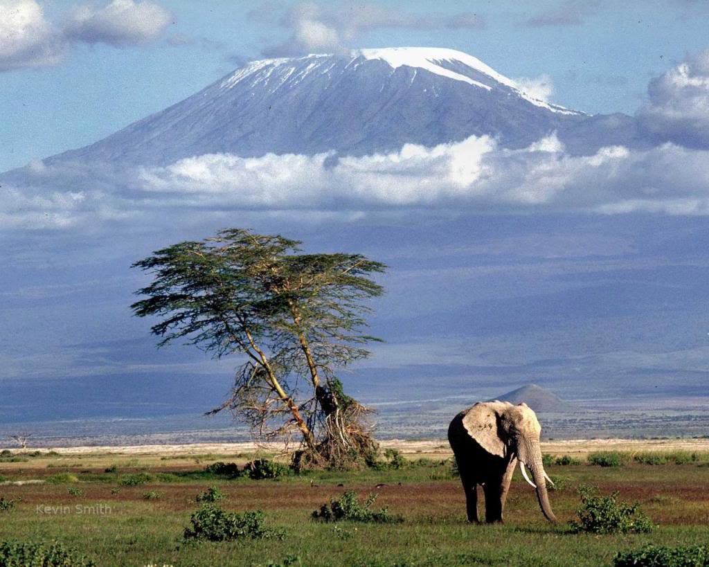 Tanzanie – kilimanjaro