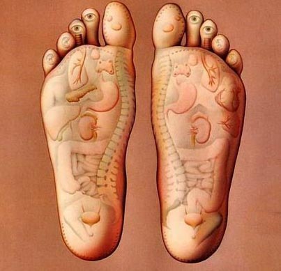 reflexologie des pieds