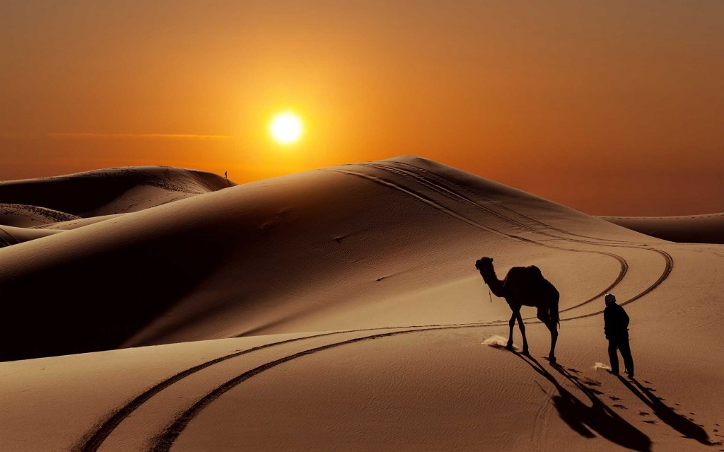 Le Sahara - Désert