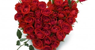 Bouquet de roses en forme de coeur