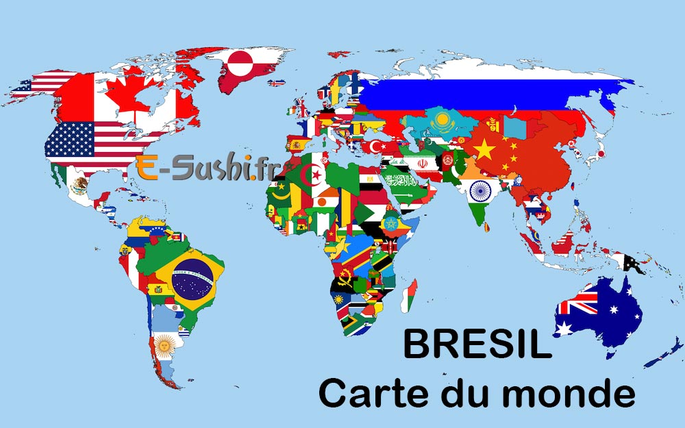 Carte géographique Bresil dans le monde