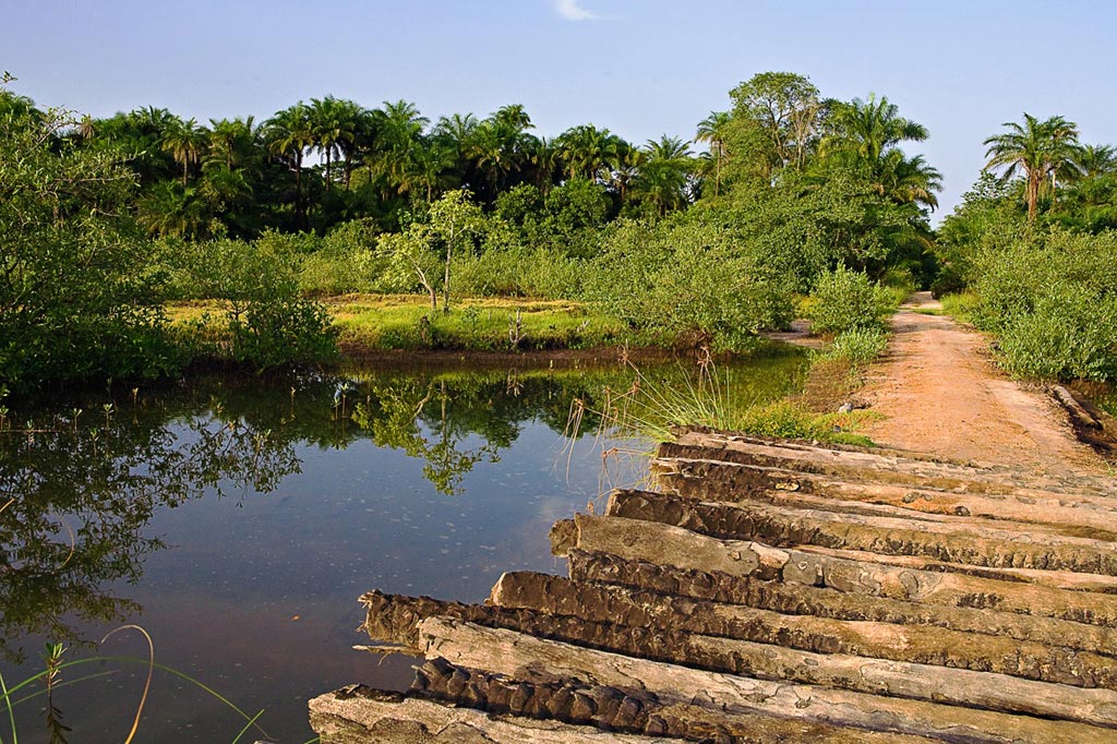 La Casamance  Arts et Voyages