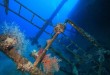 Mer rouge - Croisière plongée