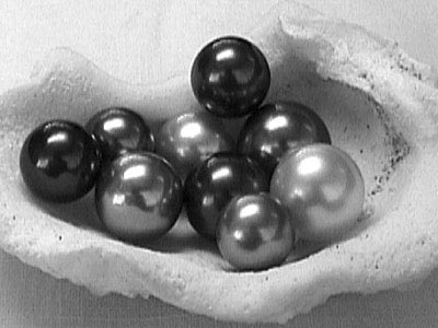 Perles noires polynésiennes