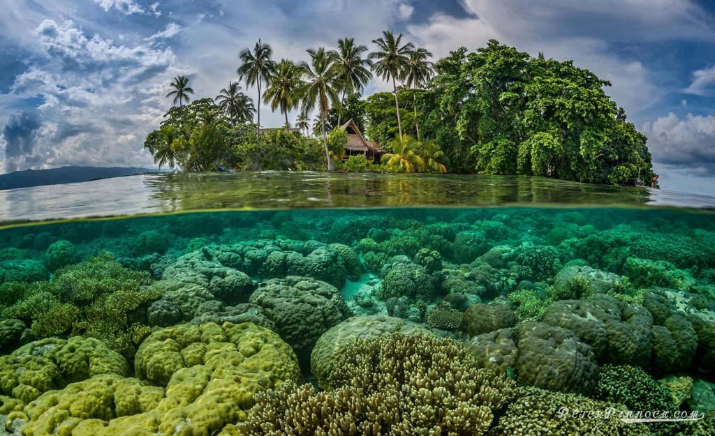 Paysage des îles Salomon