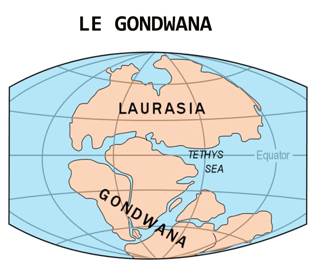 Le Gondwana
